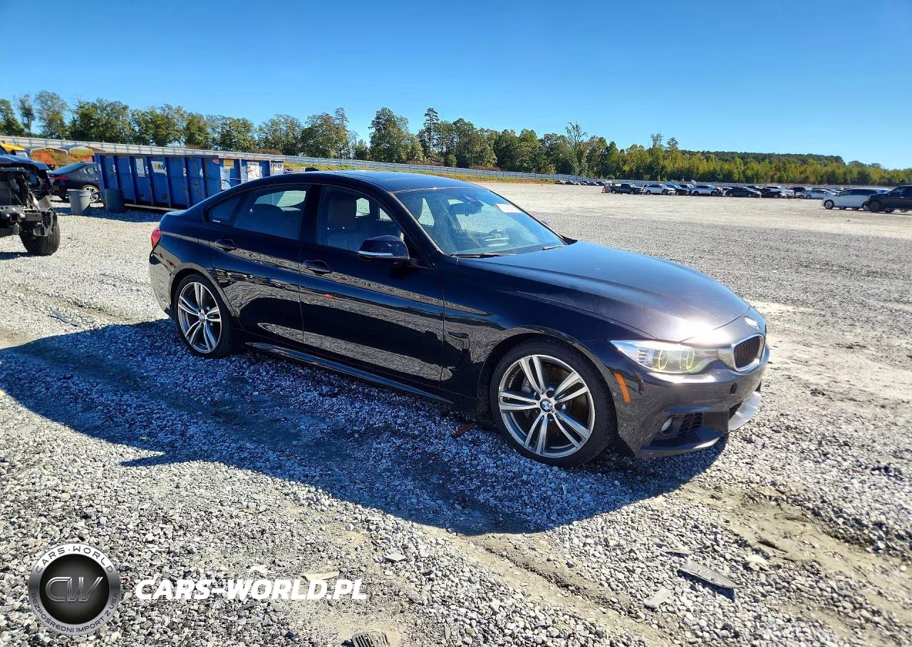 2016 BMW 435 I Gran Coupe VIN:WBA4B1C53GG243342 - 4