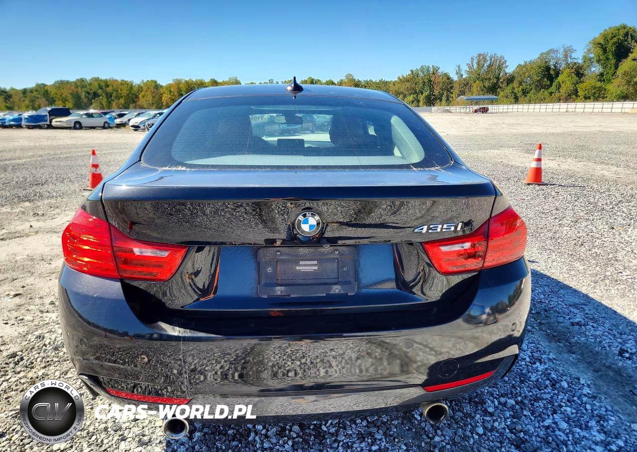 2016 BMW 435 I Gran Coupe VIN:WBA4B1C53GG243342 - 6