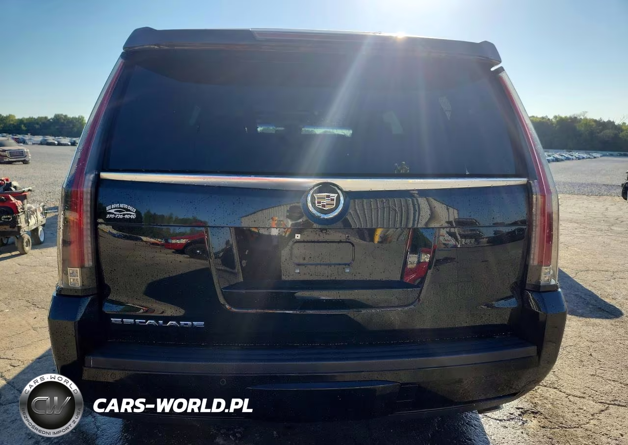 2015 Cadillac Escalade Luxury VIN:1GYS4BKJ2FR274152 - 6