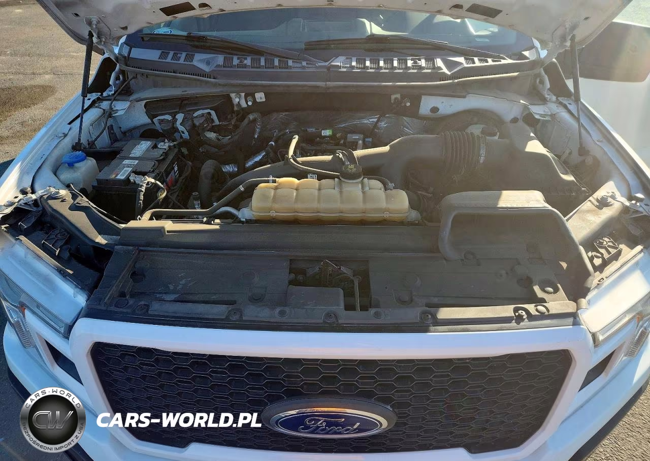 2019 Ford F150 Supercrew VIN:1FTEW1CP1KKE13524 - 11
