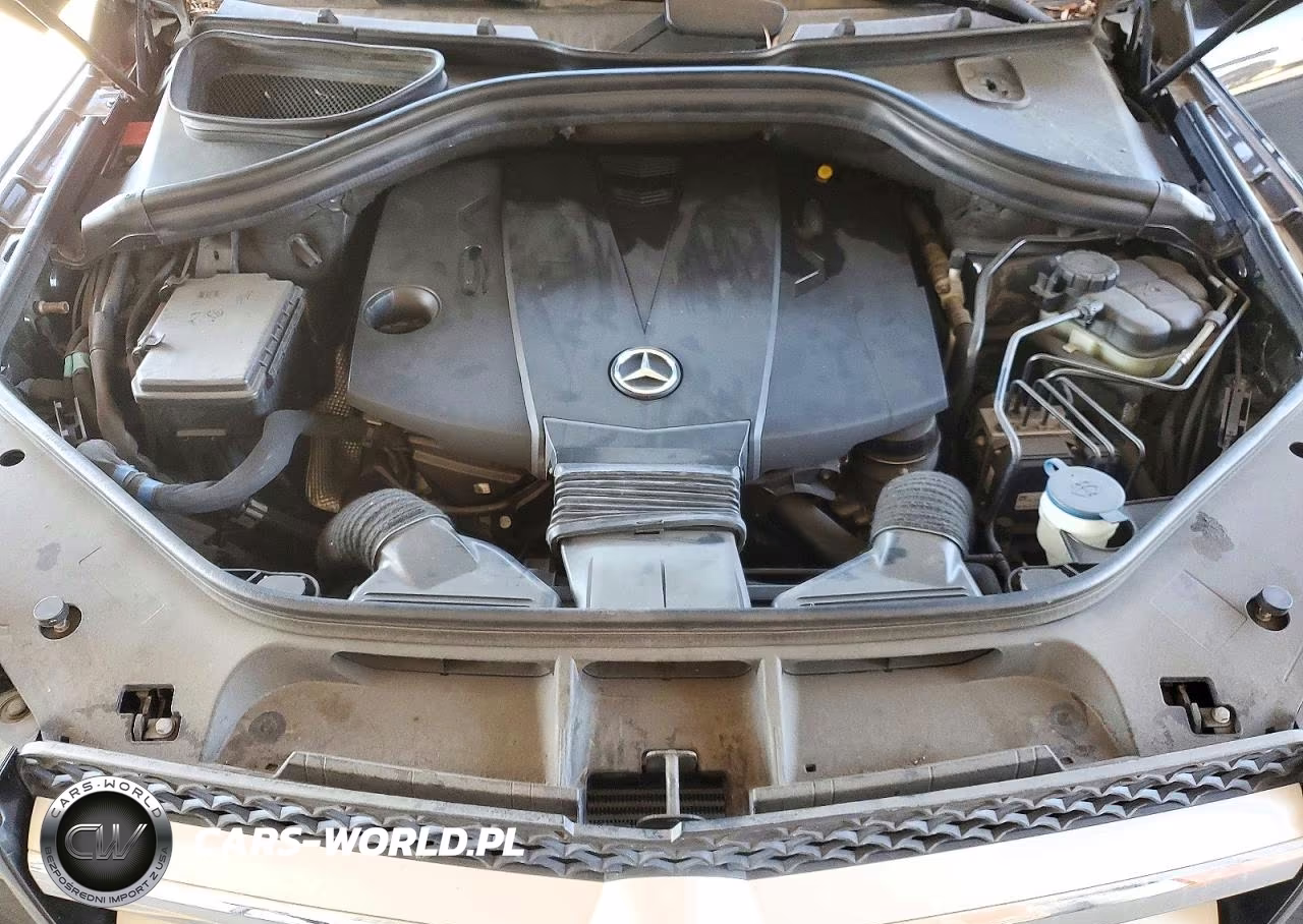 2014 Mercedes-Benz Gl 350 Bluetec VIN:4JGDF2EE2EA297687 - 12