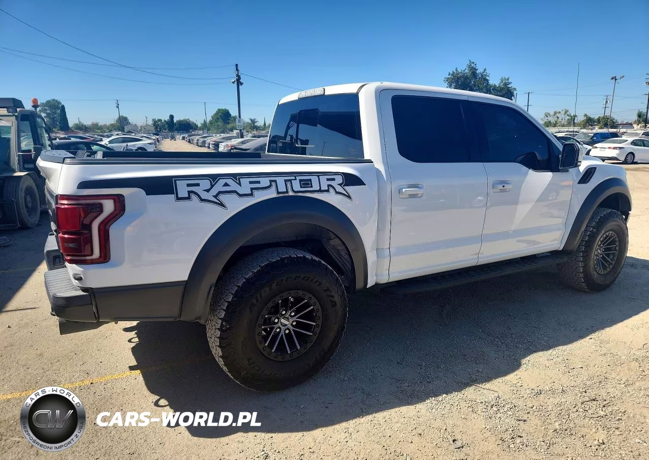 2018 Ford F150 Raptor VIN:1FTFW1RG3JFD65320 - 3