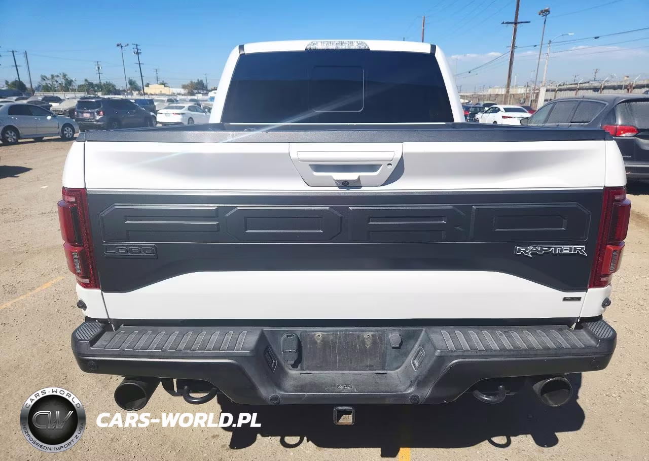 2018 Ford F150 Raptor VIN:1FTFW1RG3JFD65320 - 6
