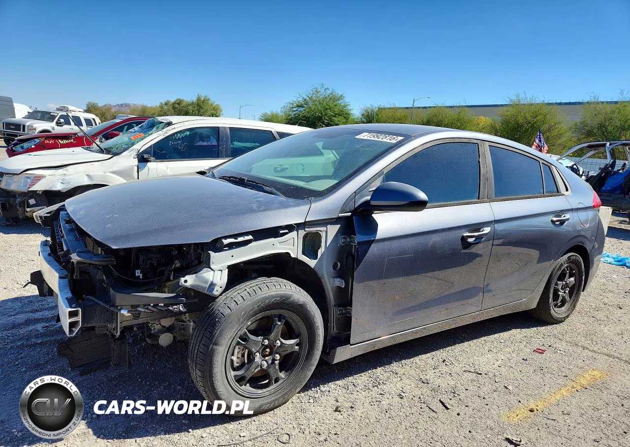 2019 Hyundai Ioniq Blue VIN:KMHC65LC2KU128178 - 1