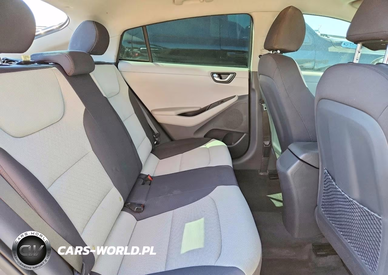 2019 Hyundai Ioniq Blue VIN:KMHC65LC2KU128178 - 10