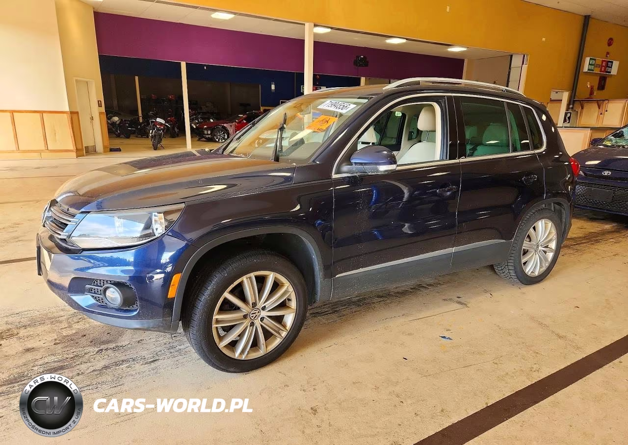 2015 Volkswagen Tiguan S VIN:WVGBV7AX8FW607926 - 1
