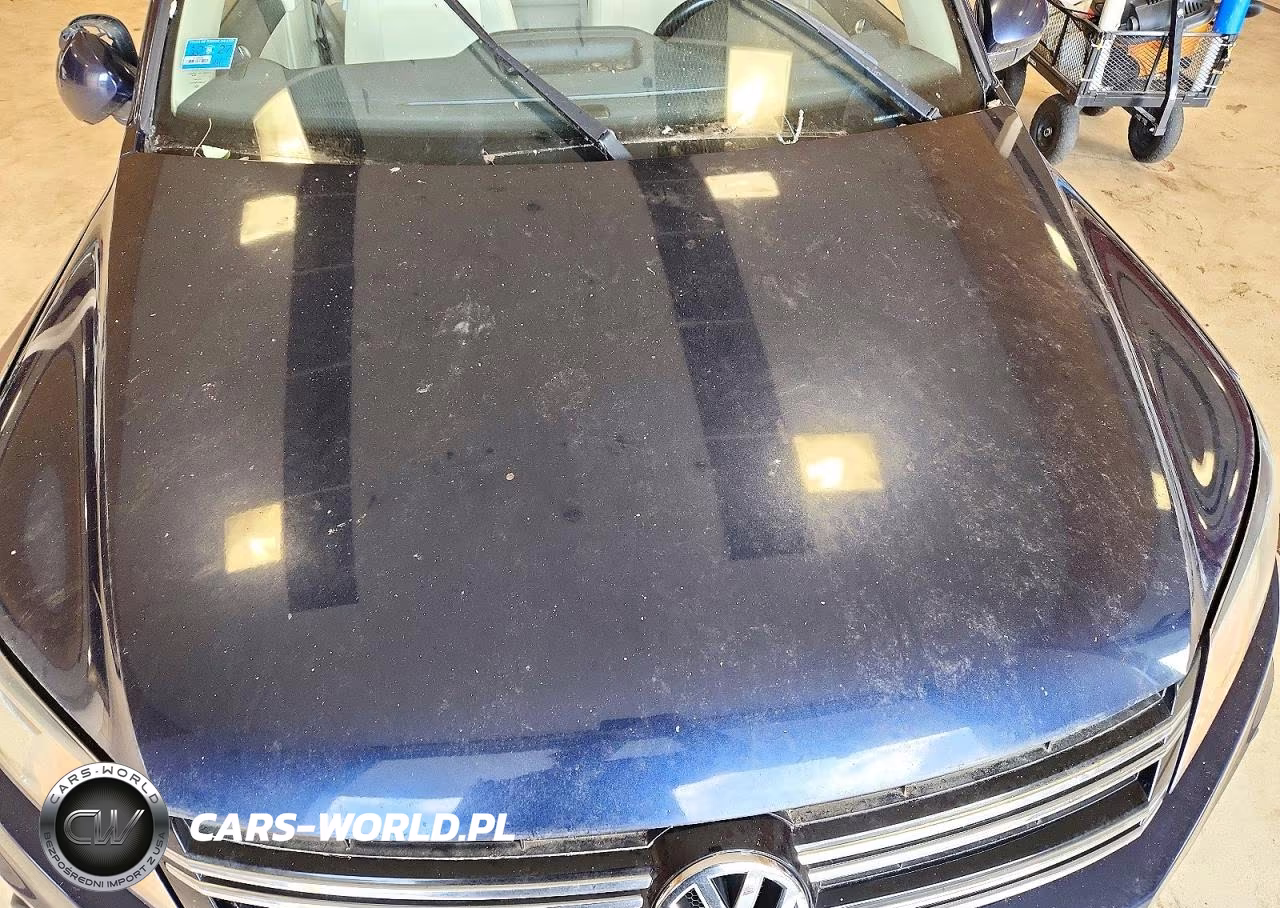 2015 Volkswagen Tiguan S VIN:WVGBV7AX8FW607926 - 12