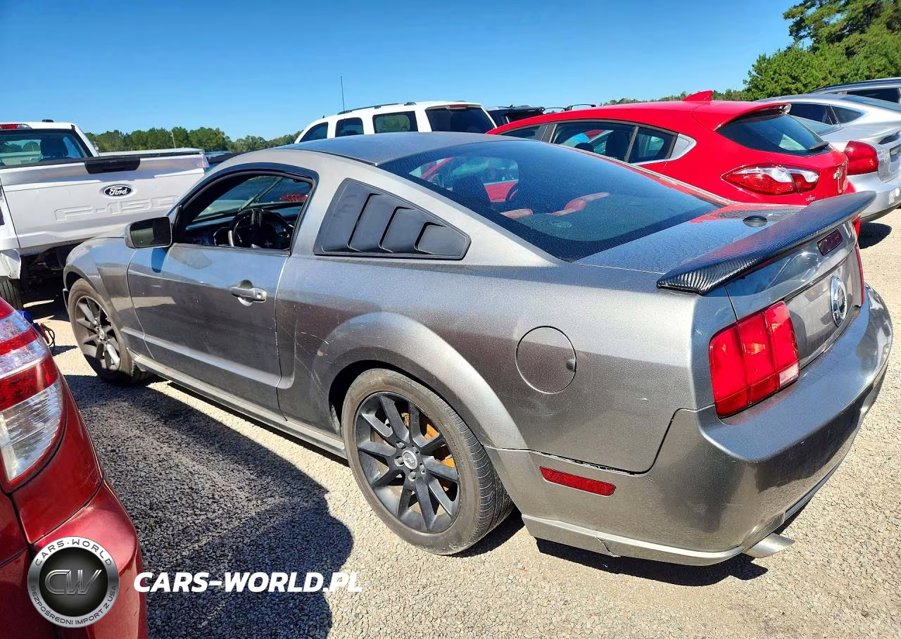 2009 Ford Mustang Gt VIN:1ZVHT82H595105867 - 2