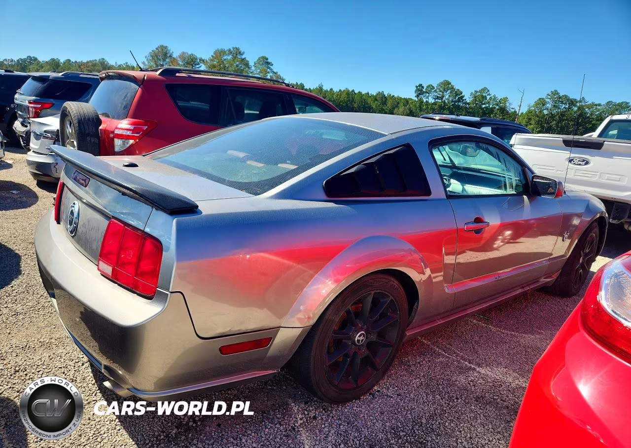 2009 Ford Mustang Gt VIN:1ZVHT82H595105867 - 3