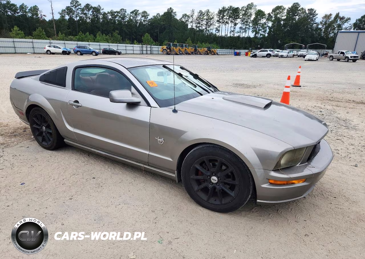 2009 Ford Mustang Gt VIN:1ZVHT82H595105867 - 4