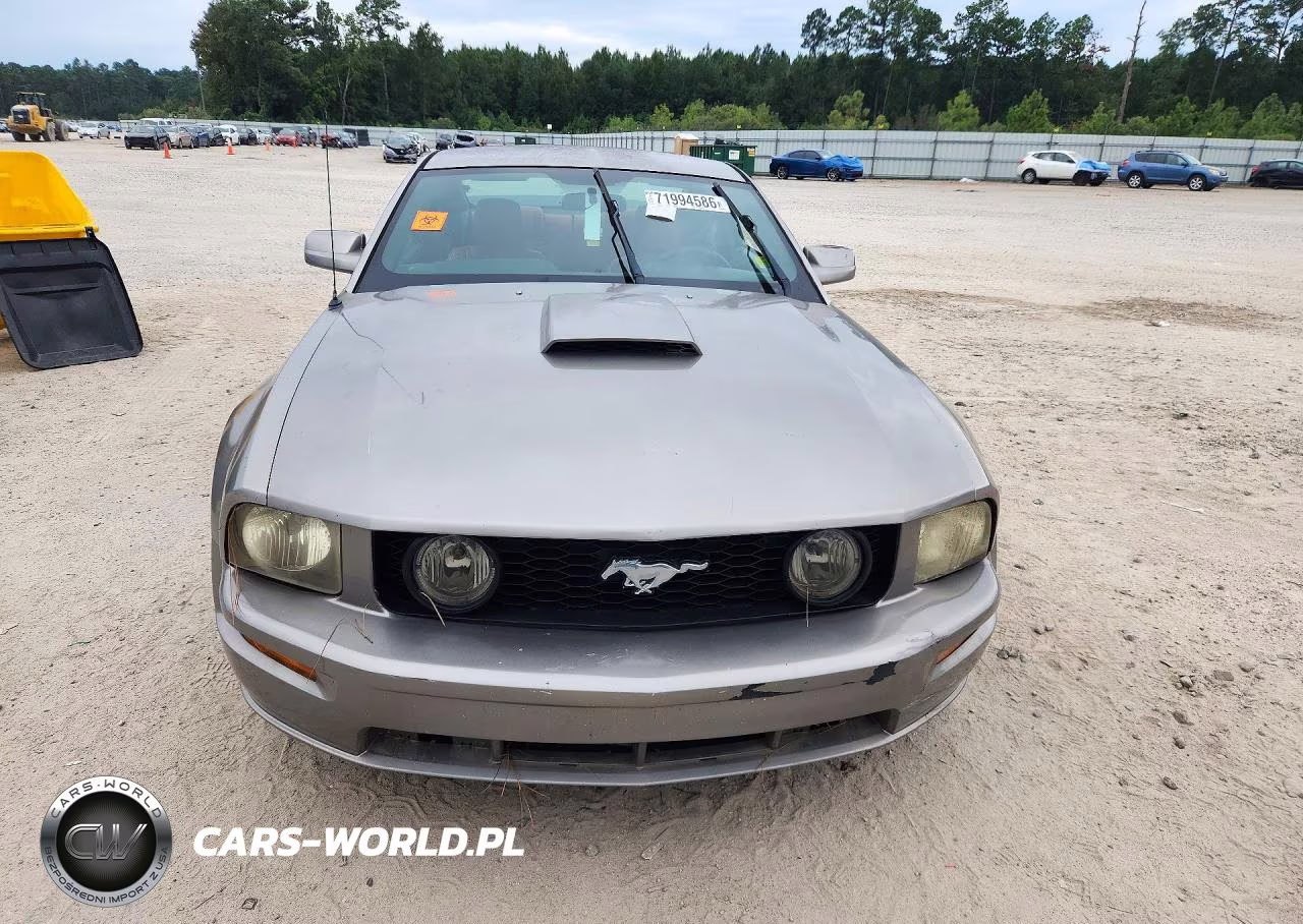 2009 Ford Mustang Gt VIN:1ZVHT82H595105867 - 5