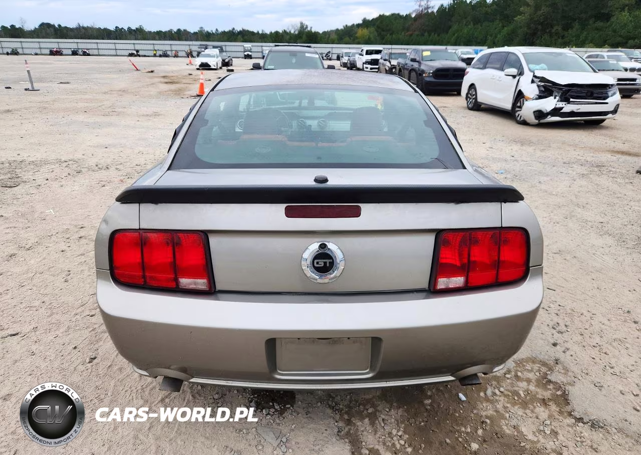 2009 Ford Mustang Gt VIN:1ZVHT82H595105867 - 6