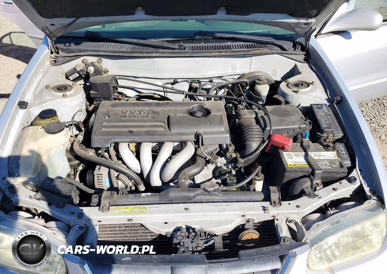 2001 Toyota Corolla Le VIN:1NXBR12EX1Z562619 - 11