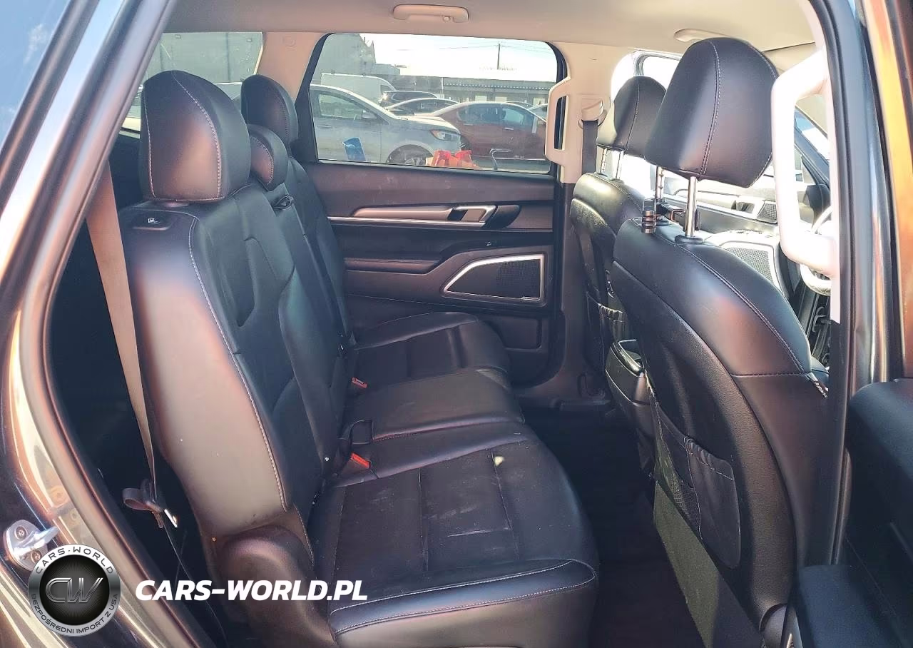 2020 Kia Telluride Lx VIN:5XYP24HC5LG085608 - 10