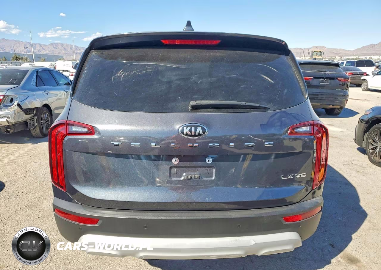 2020 Kia Telluride Lx VIN:5XYP24HC5LG085608 - 6