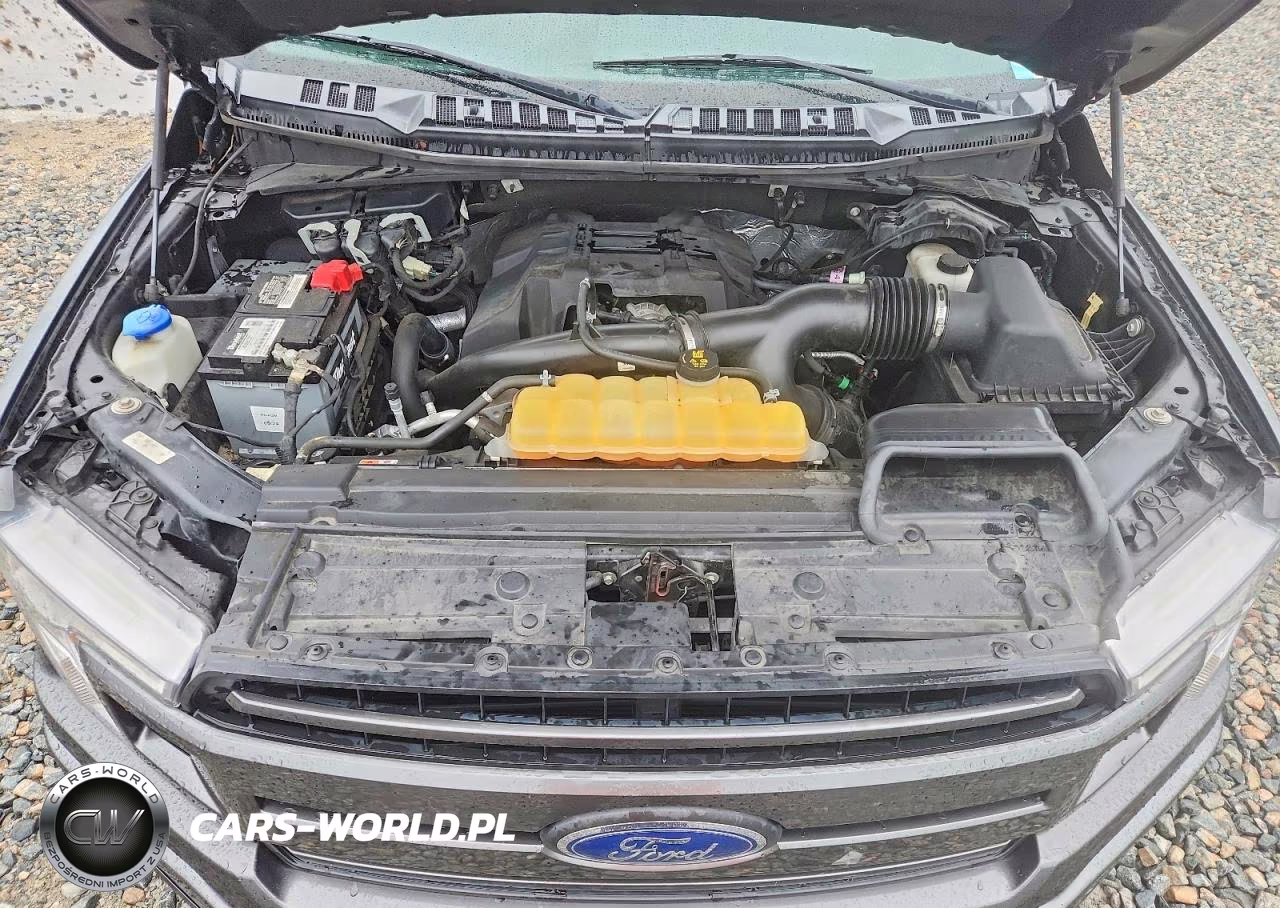 2018 Ford F150 Supercrew VIN:1FTEW1EP9JFD33019 - 11