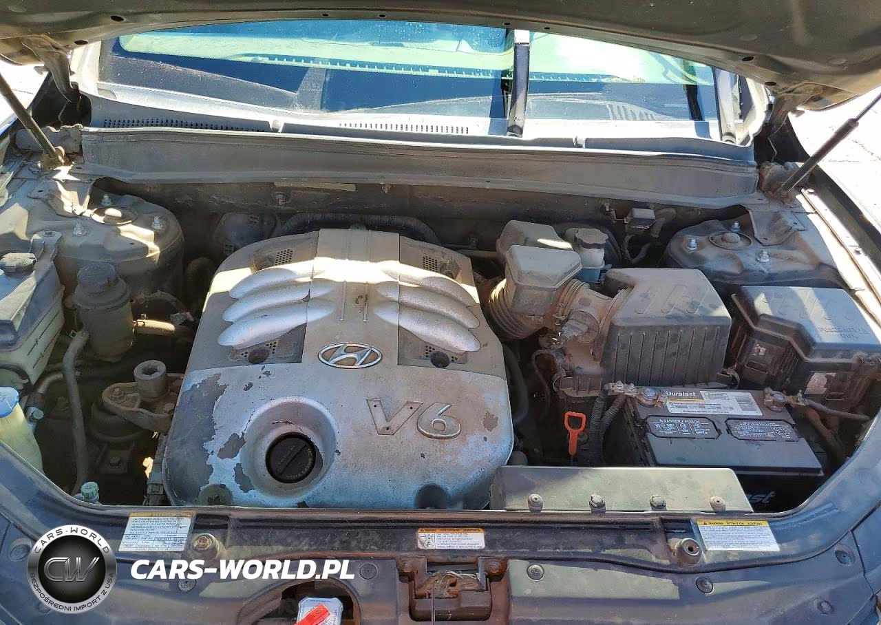 2007 Hyundai Santa Fe Se VIN:5NMSH13E57H065967 - 12