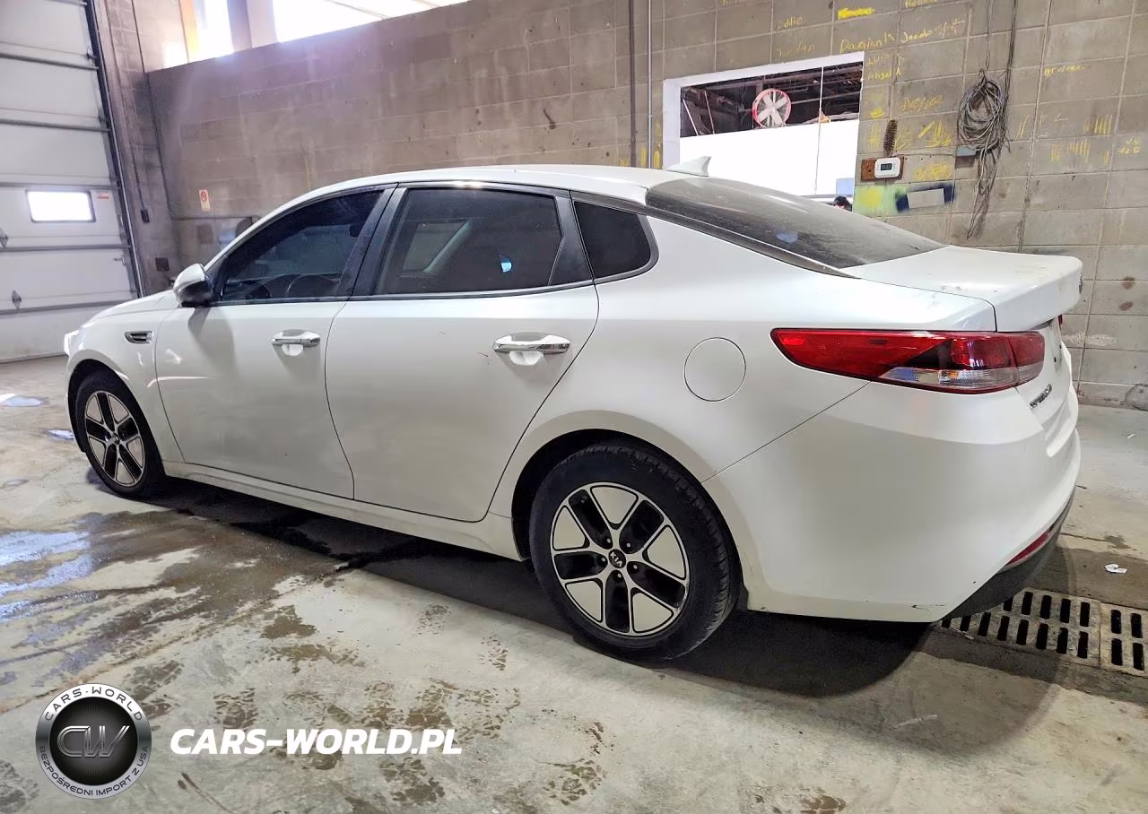 2016 Kia Optima Lx VIN:KNAGT4L35G5092803 - 2