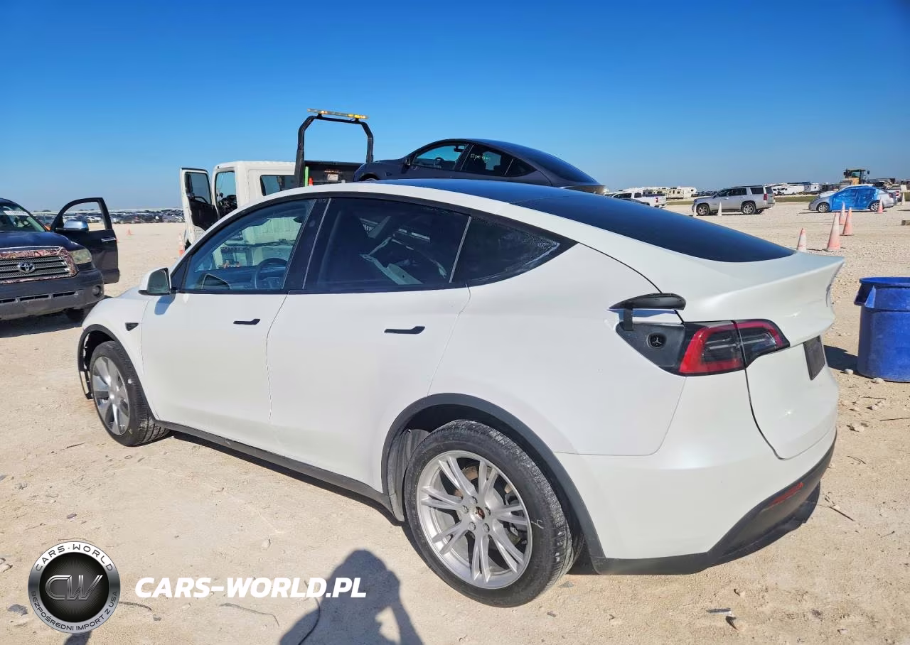 2023 Tesla Model Y VIN:7SAYGDEE3PA149167 - 2