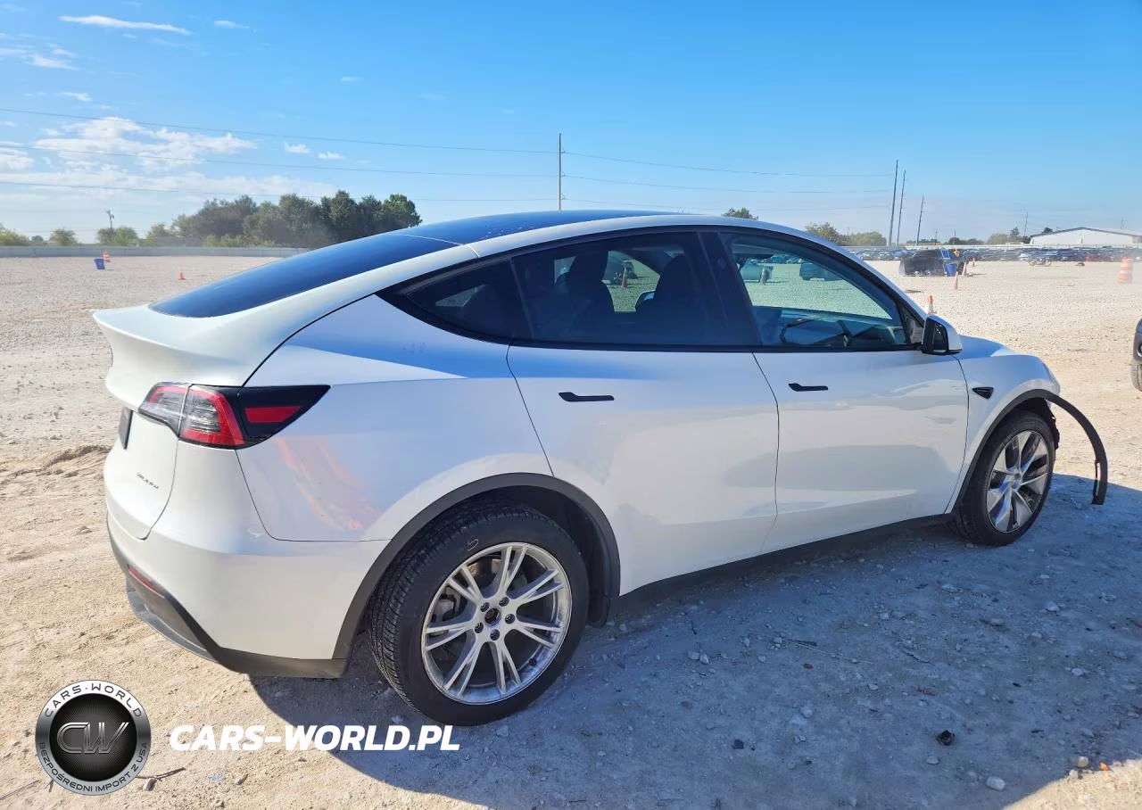 2023 Tesla Model Y VIN:7SAYGDEE3PA149167 - 3