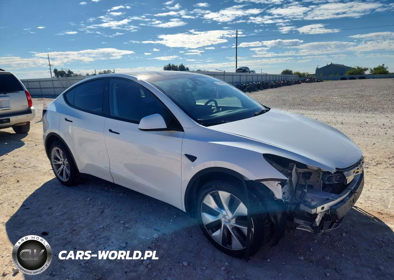 2023 Tesla Model Y VIN:7SAYGDEE3PA149167 - 4
