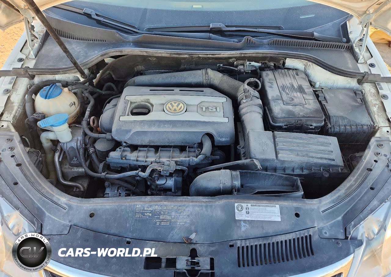 2010 Volkswagen Eos Turbo VIN:WVWBA7AH4AV025345 - 11