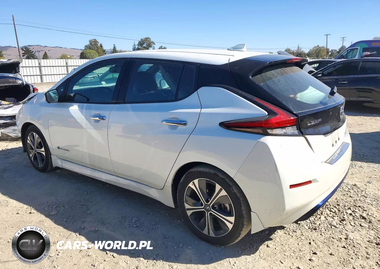 2019 Nissan Leaf Sl VIN:1N4AZ1CP7KC306709 - 2