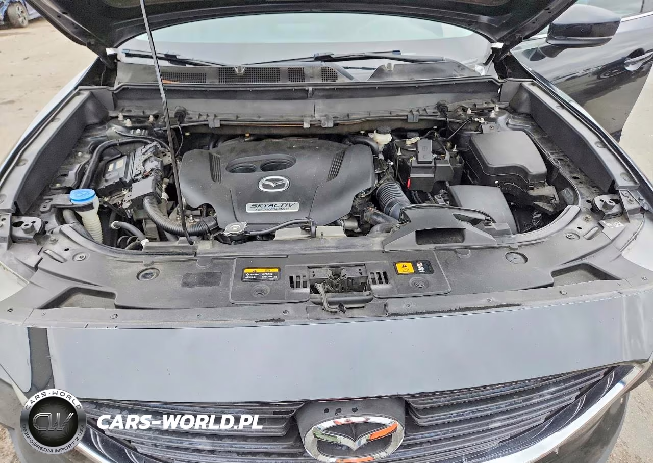 2018 Mazda Cx-9 Sport VIN:JM3TCABY0J0235696 - 11