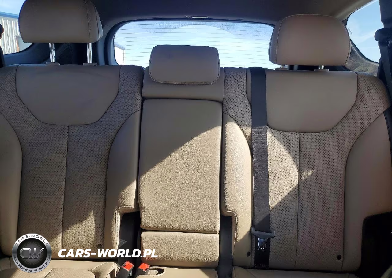 2023 Hyundai Santa Fe Sel Premium VIN:5NMS3DAJ9PH558776 - 10