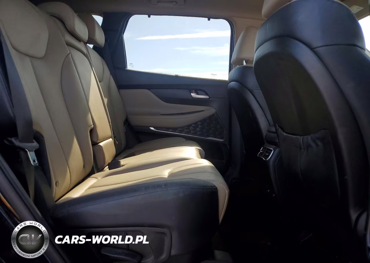 2023 Hyundai Santa Fe Sel Premium VIN:5NMS3DAJ9PH558776 - 11