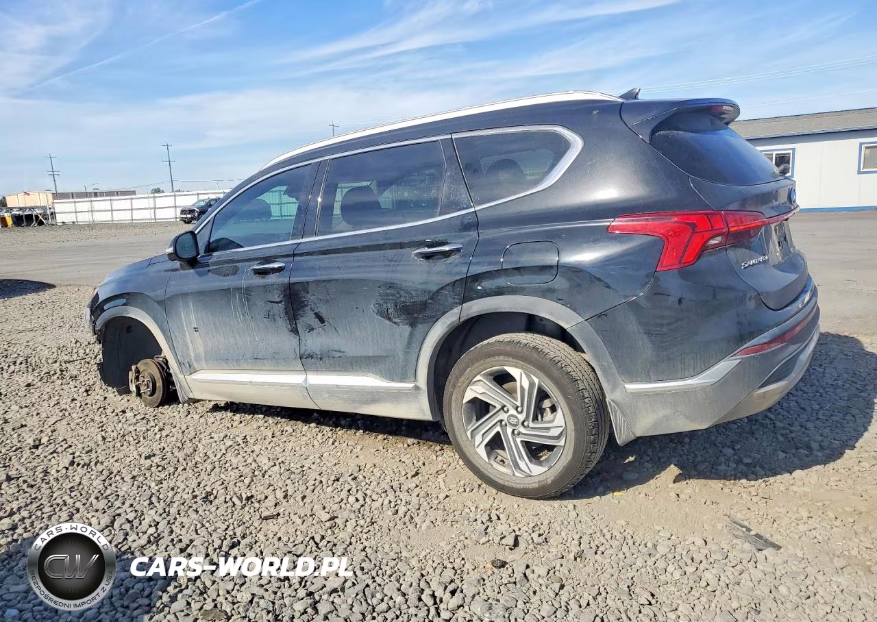 2023 Hyundai Santa Fe Sel Premium VIN:5NMS3DAJ9PH558776 - 2