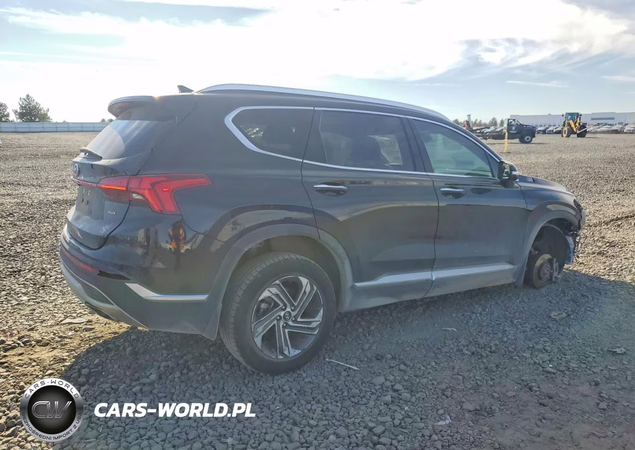 2023 Hyundai Santa Fe Sel Premium VIN:5NMS3DAJ9PH558776 - 3