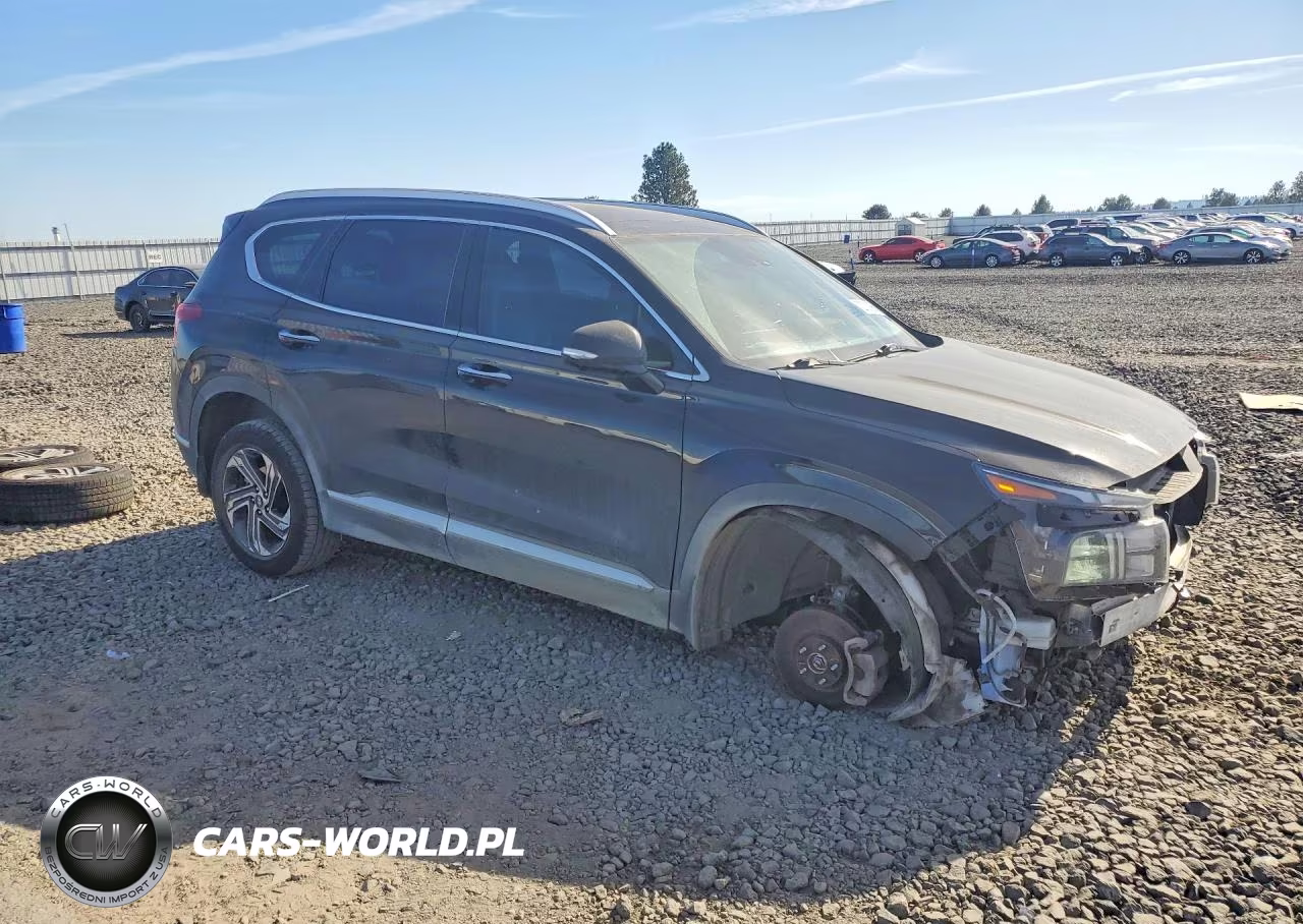 2023 Hyundai Santa Fe Sel Premium VIN:5NMS3DAJ9PH558776 - 4