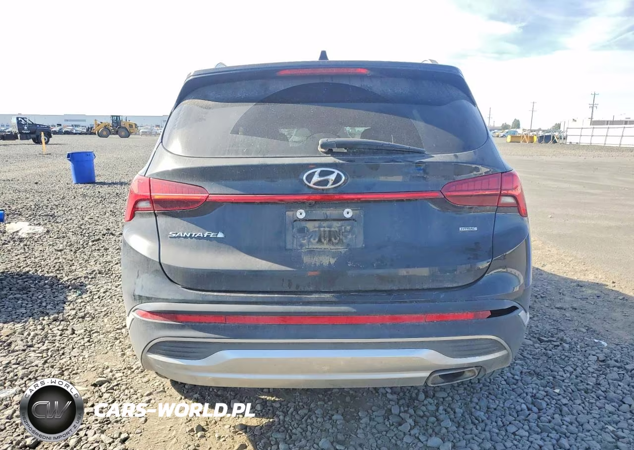 2023 Hyundai Santa Fe Sel Premium VIN:5NMS3DAJ9PH558776 - 6
