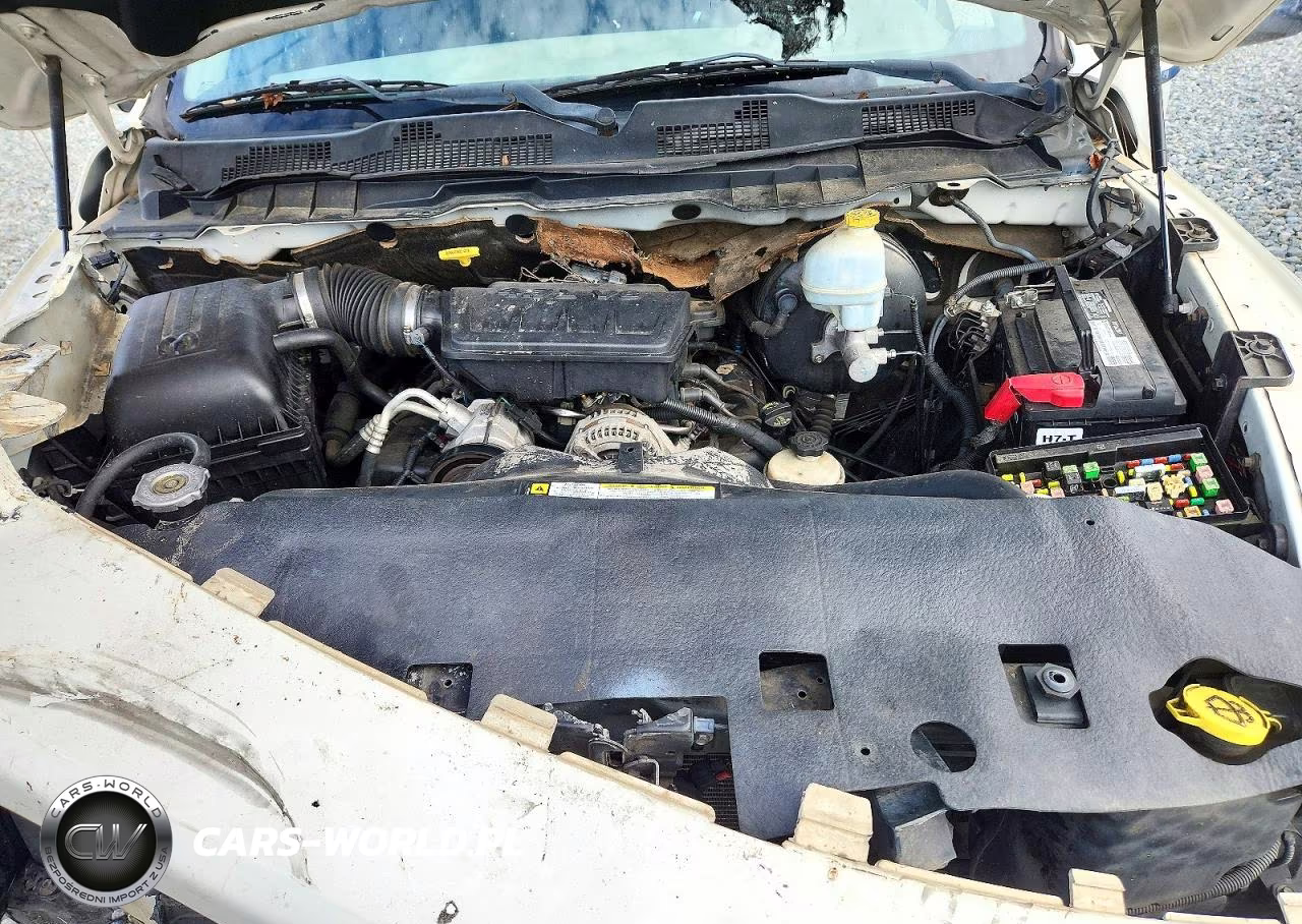 2009 Dodge Ram 1500 VIN:1D3HB18P69S802355 - 11