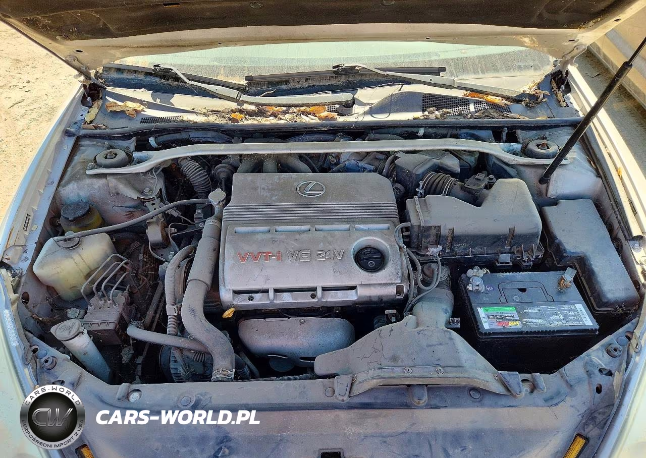 2003 Lexus Es 300 VIN:JTHBF30G030134712 - 11