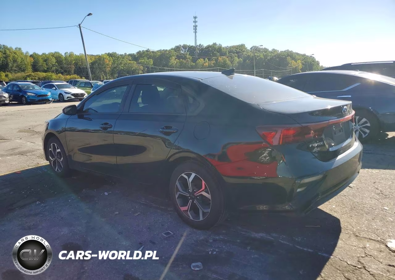 2019 Kia Forte Lxs VIN:3KPF24AD1KE014836 - 2