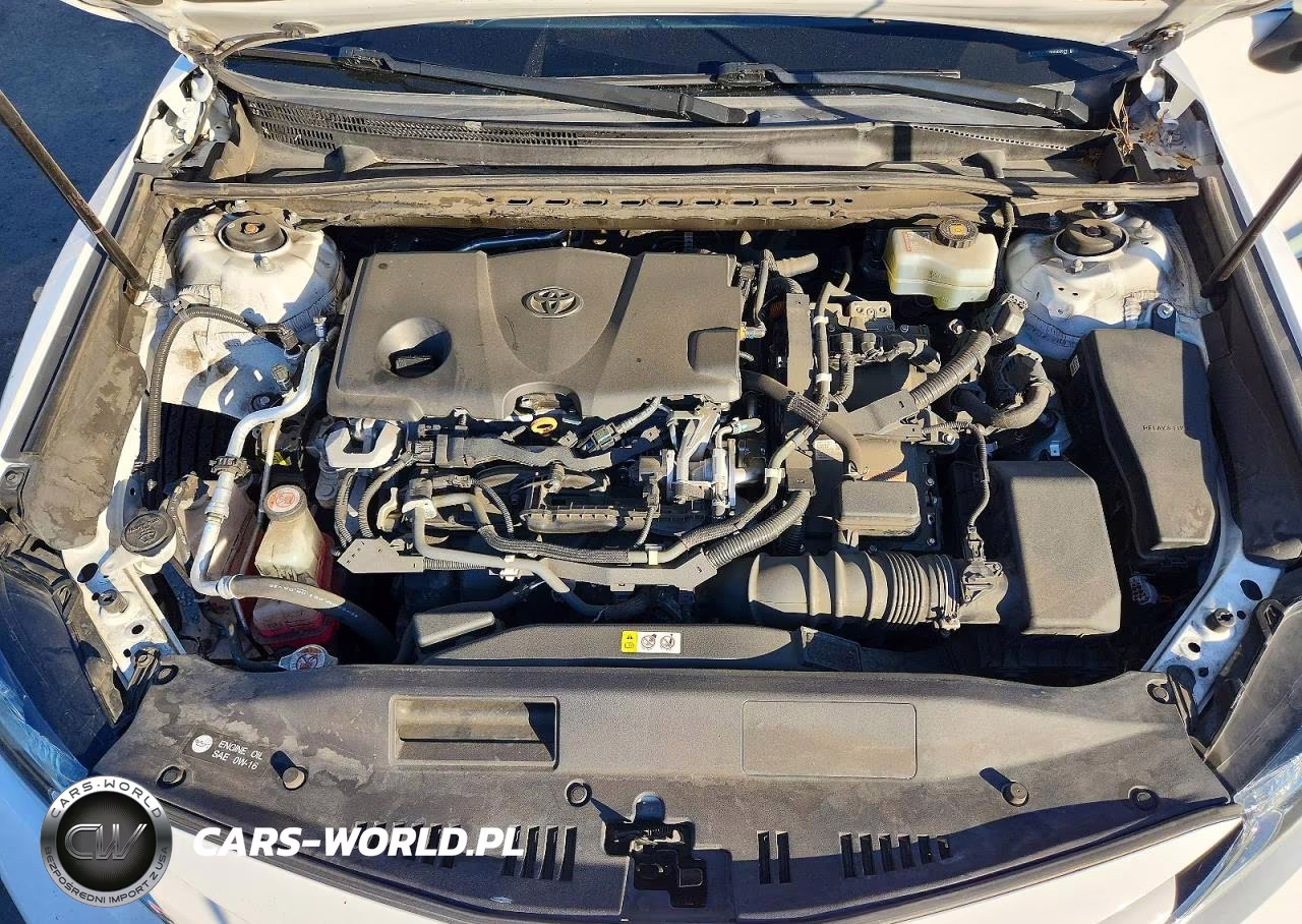 2019 Toyota Camry Le VIN:4T1B31HKXKU008822 - 11