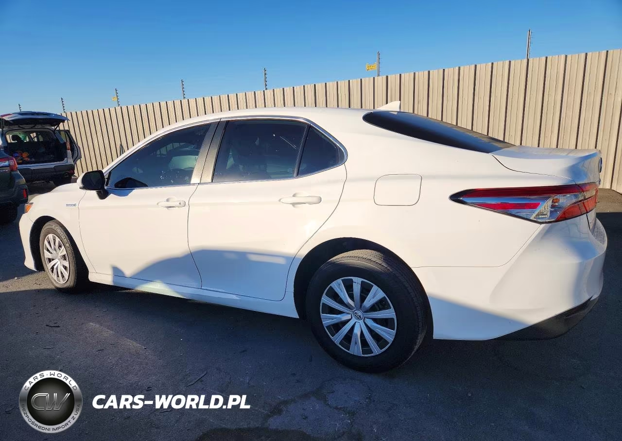 2019 Toyota Camry Le VIN:4T1B31HKXKU008822 - 2