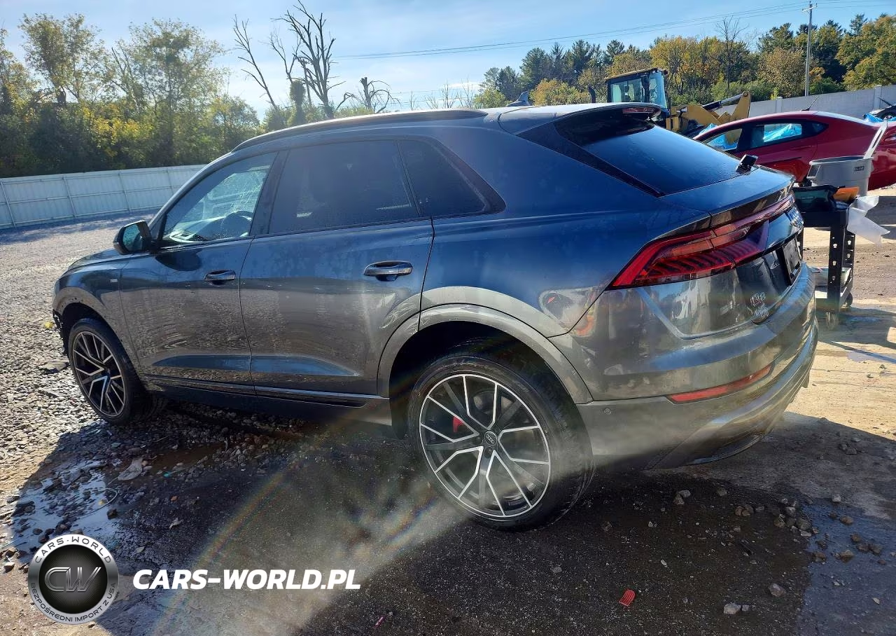 2019 Audi Q8 Prestige S-Line VIN:WA1FVAF12KD023058 - 2