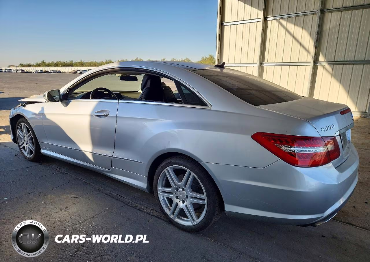 2010 Mercedes-Benz E 550 VIN:WDDKJ7CB9AF026211 - 2