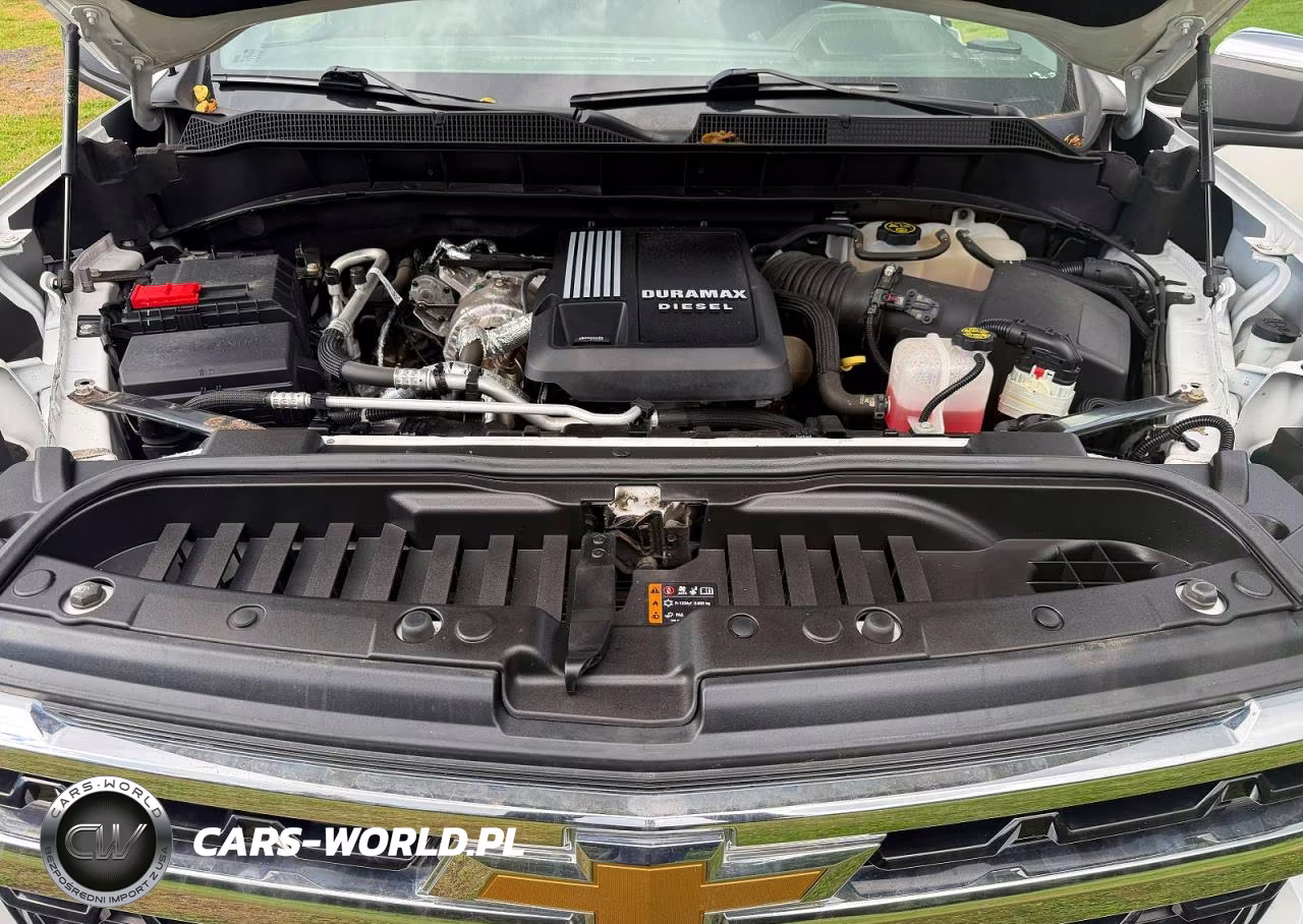 2022 Chevrolet Silverado K1500 Lt VIN:1GCVDDET3NZ612877 - 10