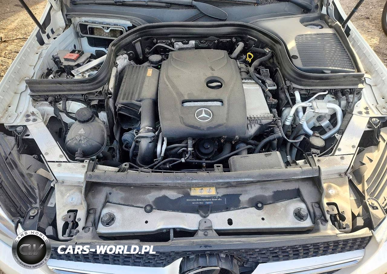 2017 Mercedes-Benz Glc Coupe 300 4Matic VIN:WDC0J4KB9HF189110 - 11