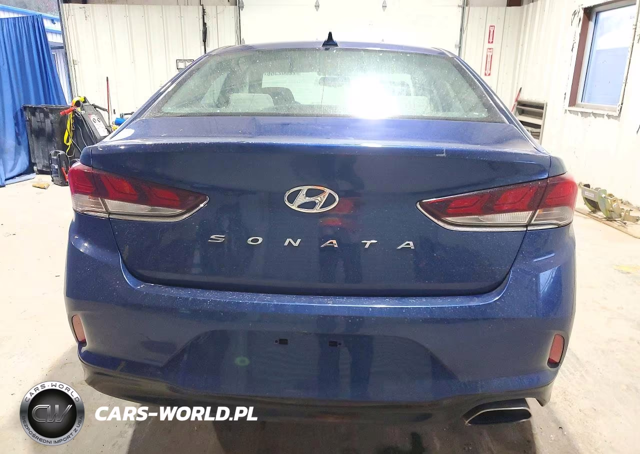 2019 Hyundai Sonata Sel VIN:5NPE34AF6KH785184 - 6
