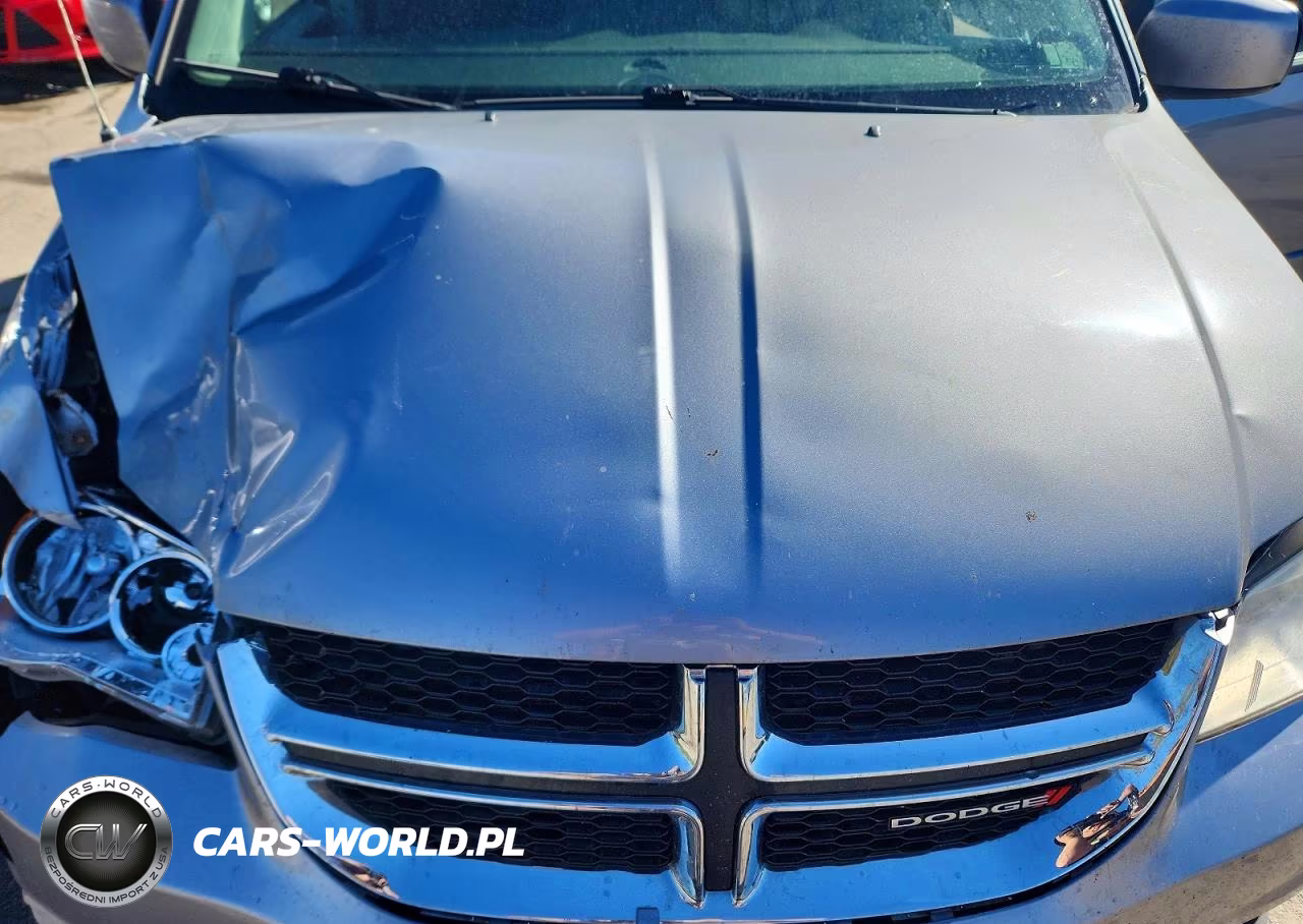 2014 Dodge Grand Caravan Sxt VIN:2C4RDGCG2ER430171 - 12