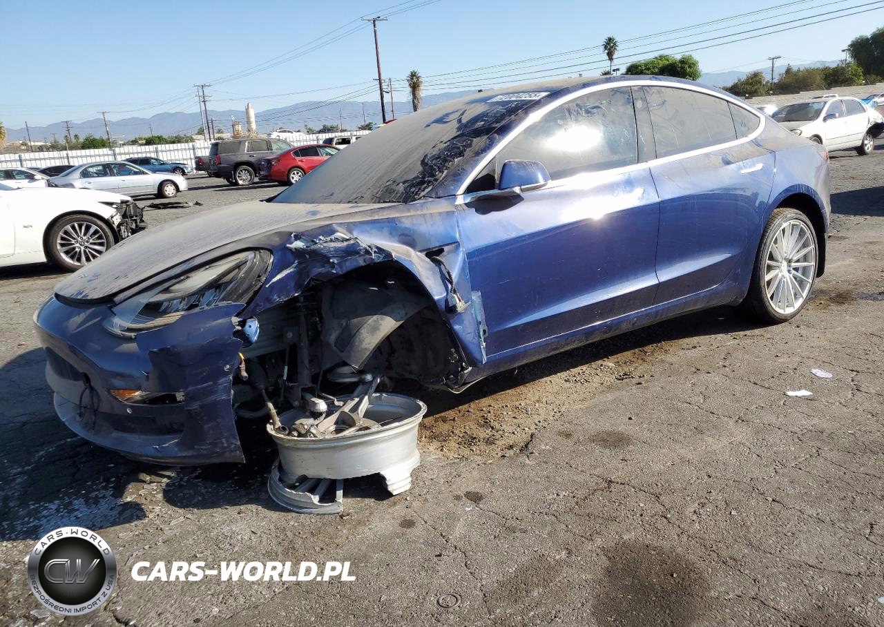 2019 Tesla Model 3