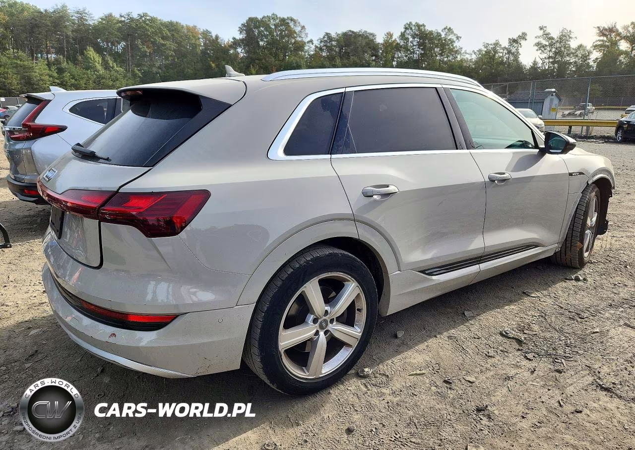 2019 Audi E-Tron Premium Plus VIN:WA1LAAGE3KB015479 - 3
