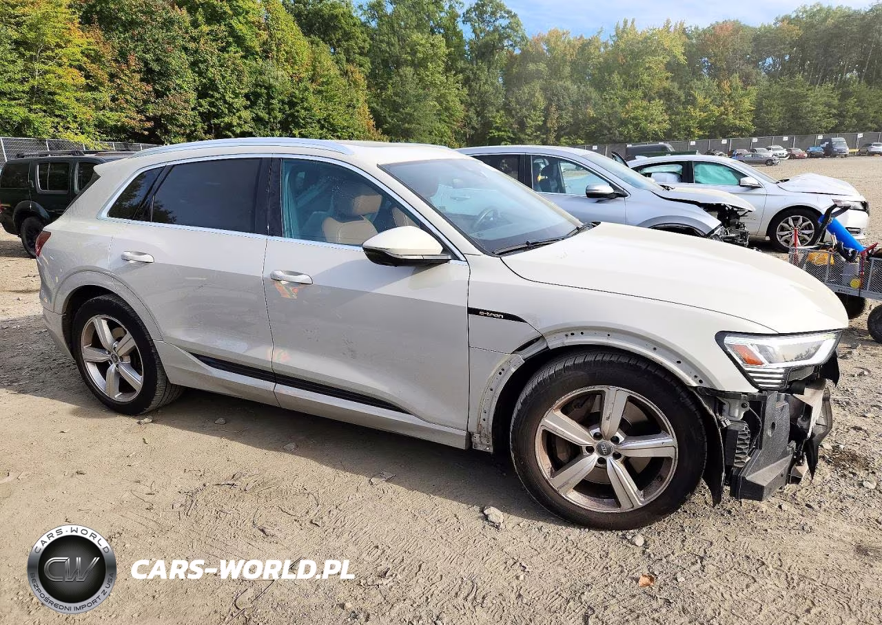 2019 Audi E-Tron Premium Plus VIN:WA1LAAGE3KB015479 - 4