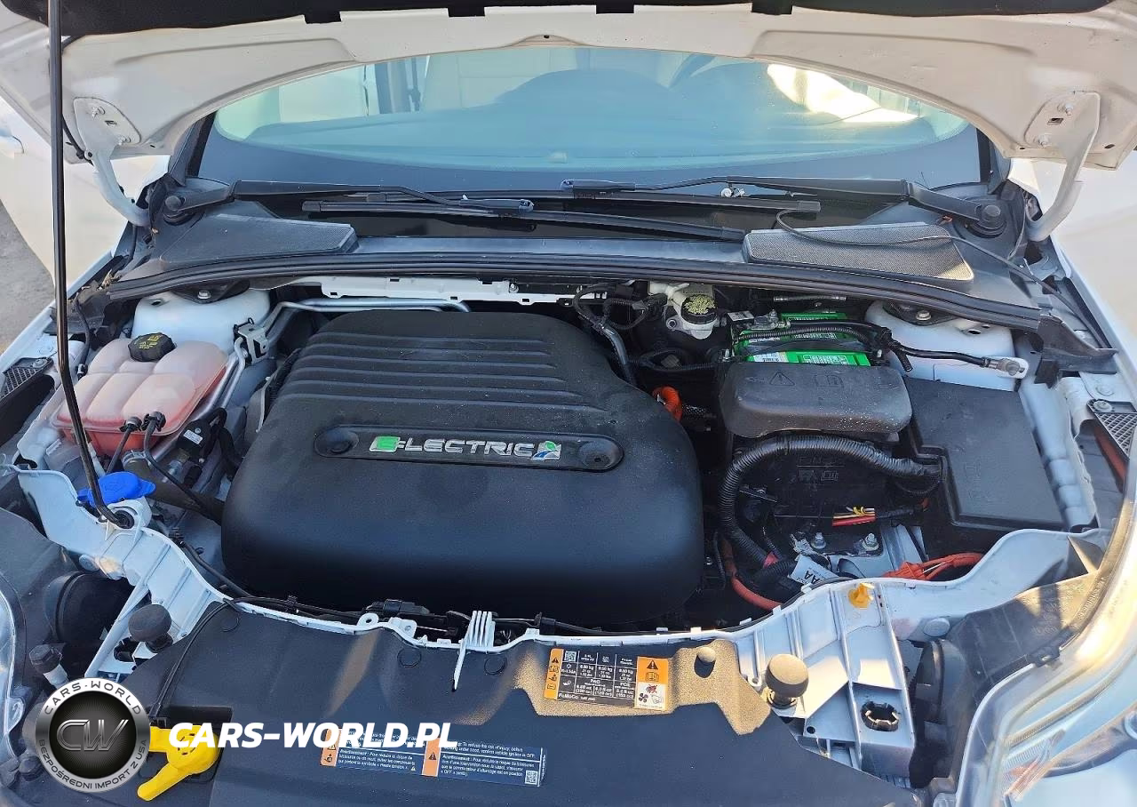 2014 Ford Focus Bev VIN:1FADP3R45EL300441 - 11