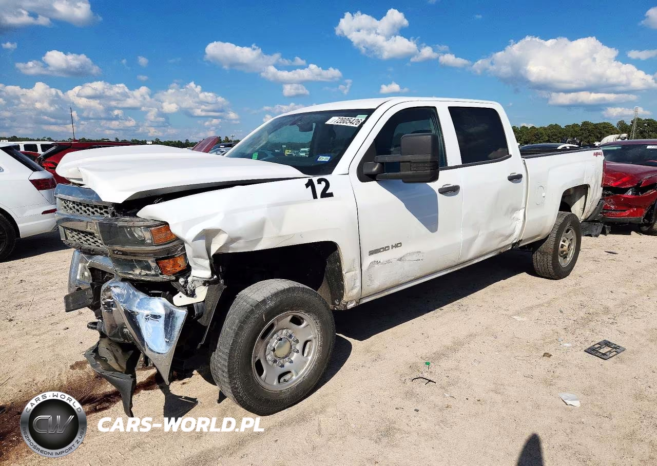 2019 Chevrolet Silverado K2500 Heavy Duty VIN:1GC1KREG8KF187044 - 1
